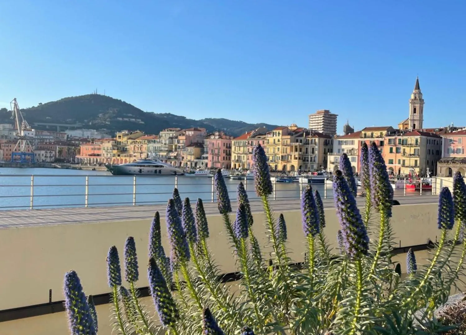 Uliveto Saglietto Agriturismo A Poggi Apartments Imperia Farm stay