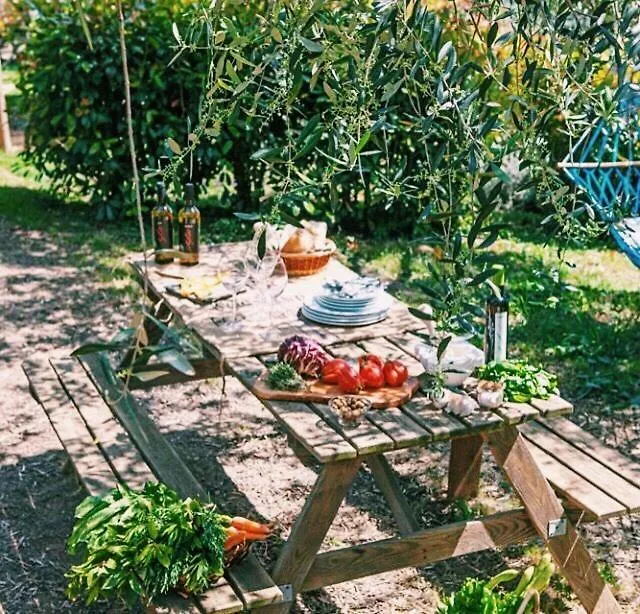 Uliveto Saglietto Agriturismo A Poggi Apartments Imperia