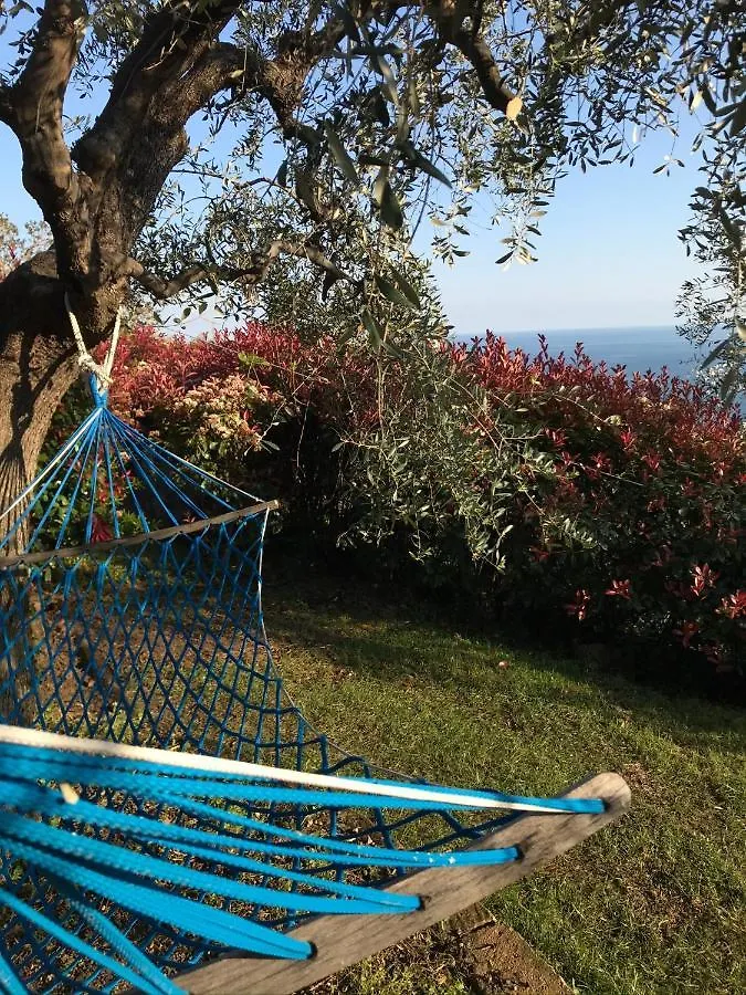 Uliveto Saglietto Agriturismo A Poggi Apartments Imperia 0*,